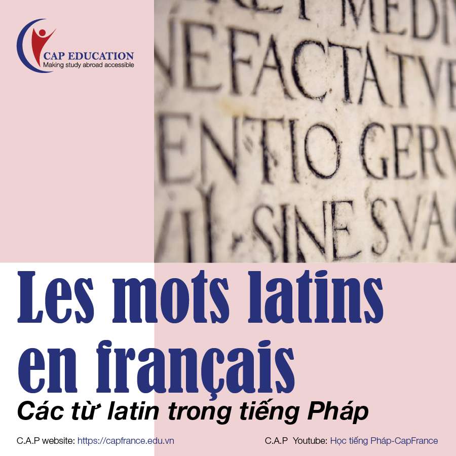 Các Từ Latinh Trong Tiếng Pháp