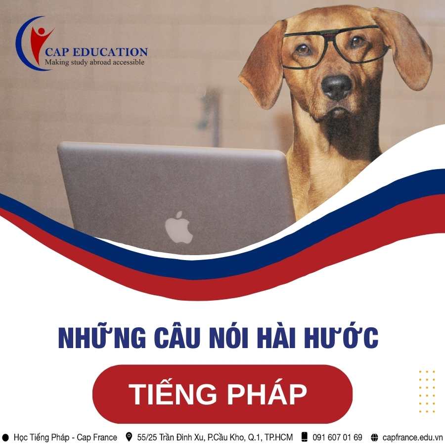 Những Câu Nói Hài Hước Tiếng Pháp