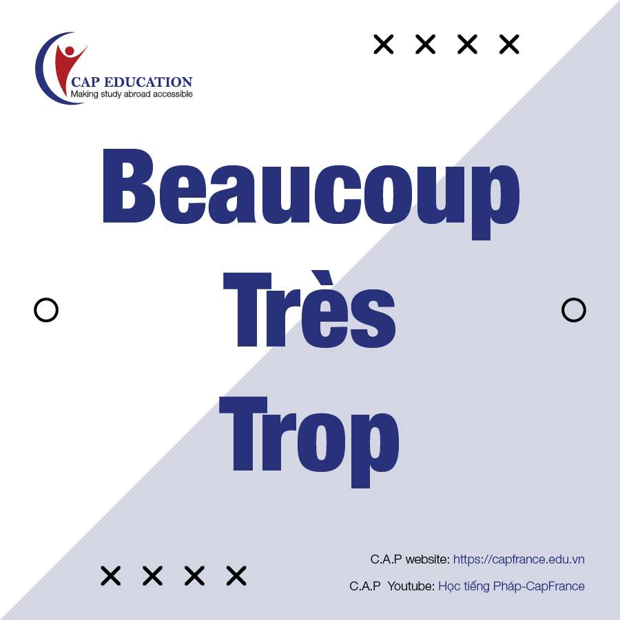 Phân Biệt Beaucoup Très Và Trop Trong Tiếng Pháp