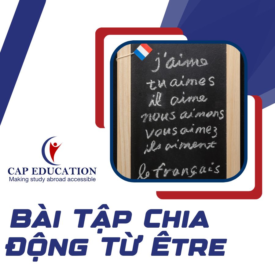 Bài Tập Chia Động Từ Être