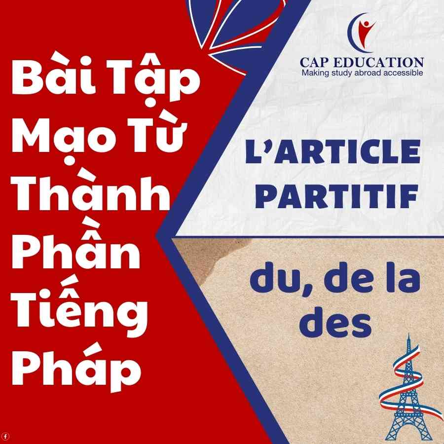 Bài Tập Mạo Từ Thành Phần Tiếng Pháp