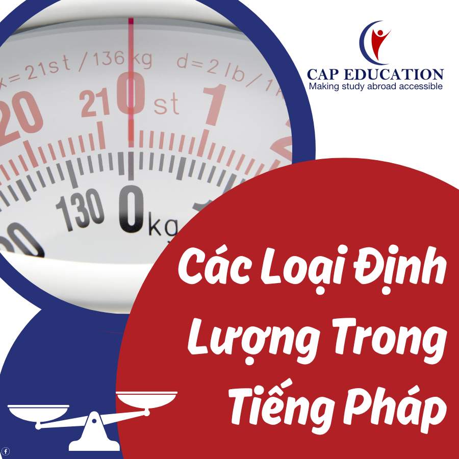 Các Loại Định Lượng Trong Tiếng Pháp