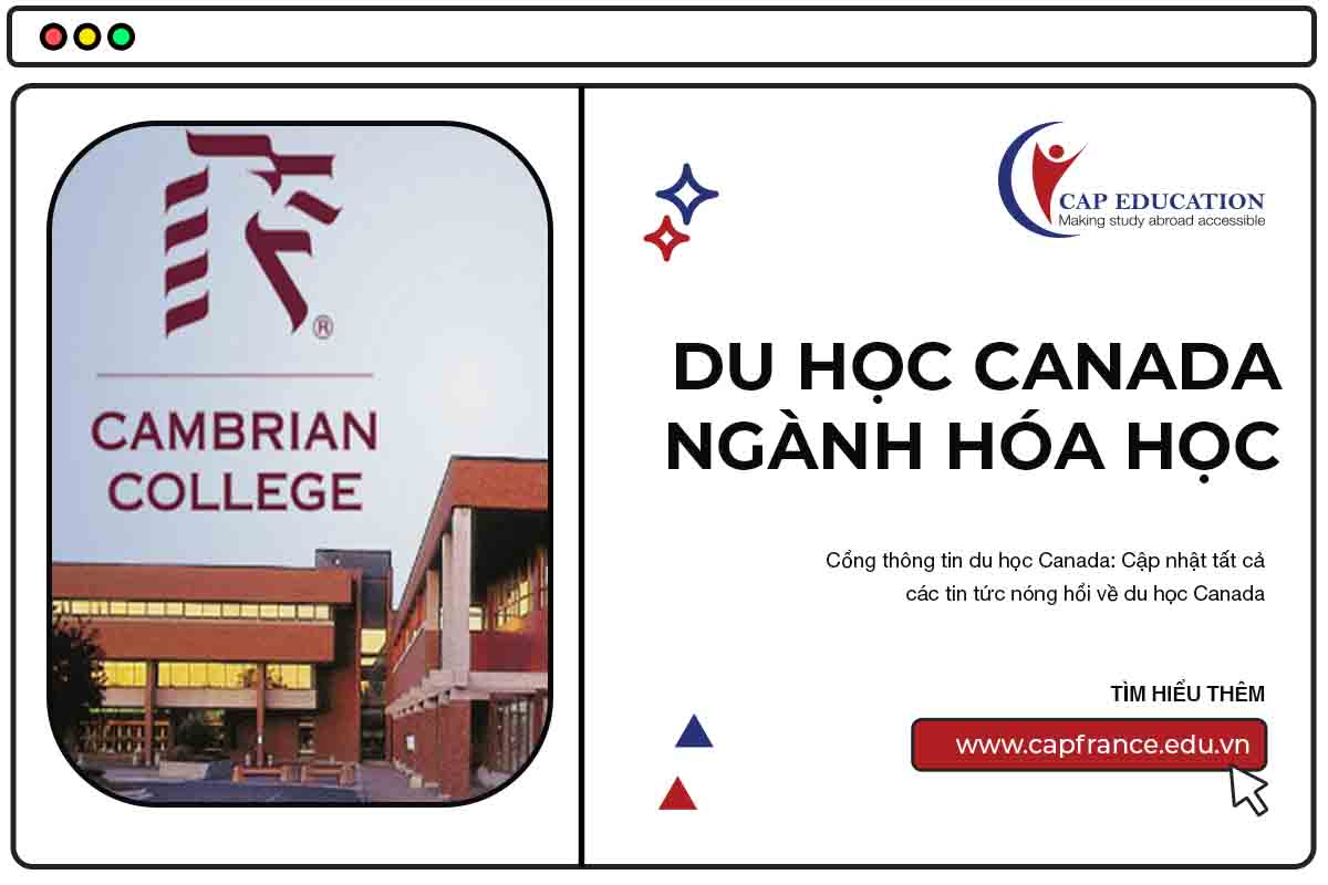 Hóa Học