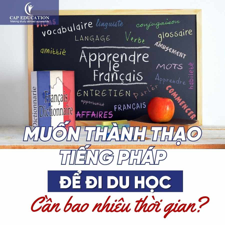 Muốn Thành Thạo Tiếng Pháp Để Đi Du Học Cần Bao Nhiêu Thời Gian
