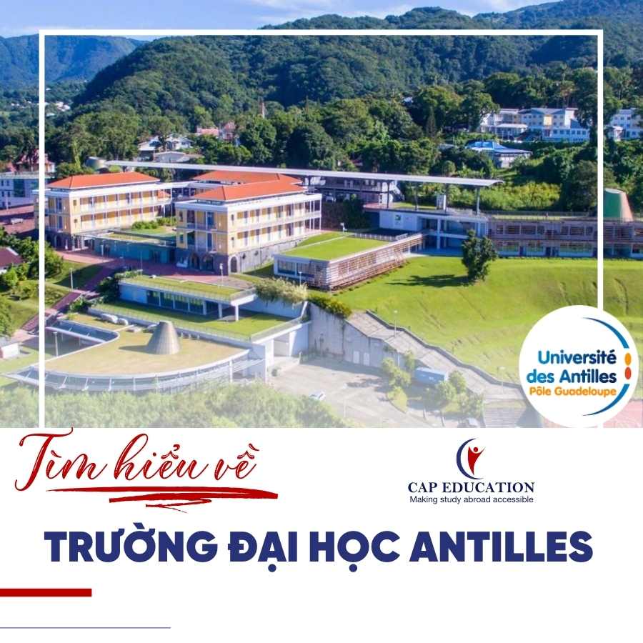 Tìm Hiểu Về Trường Đại Học Antilles