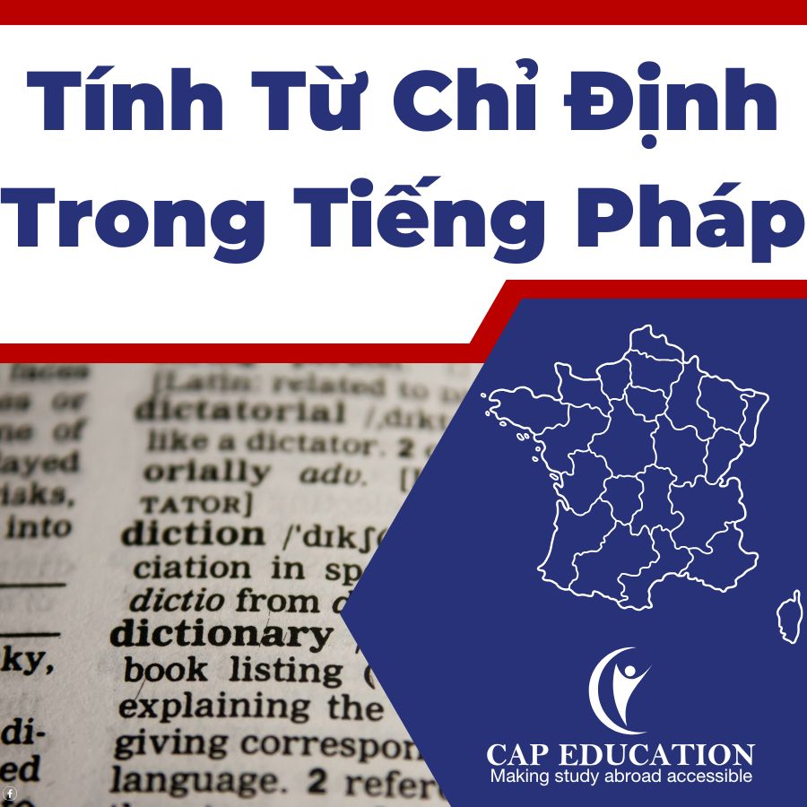 Tính Từ Chỉ Định Trong Tiếng Pháp