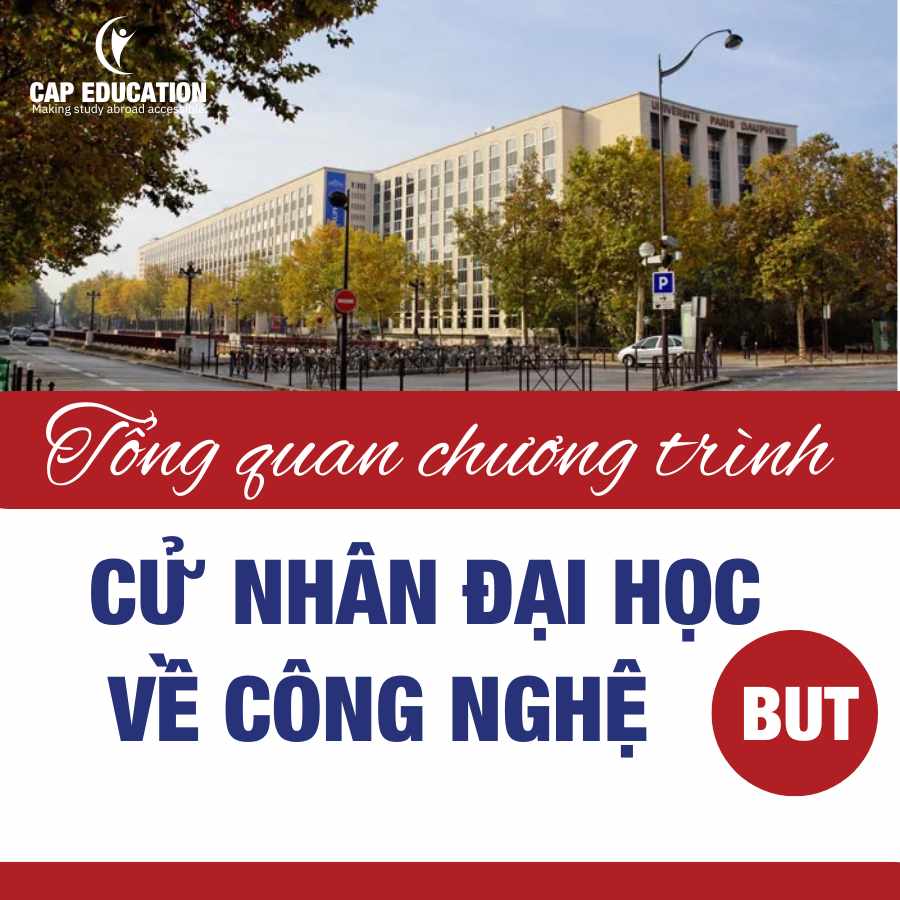 Tổng Quan Chương Trình Cử Nhân Đại Học Công Nghệ (BUT)