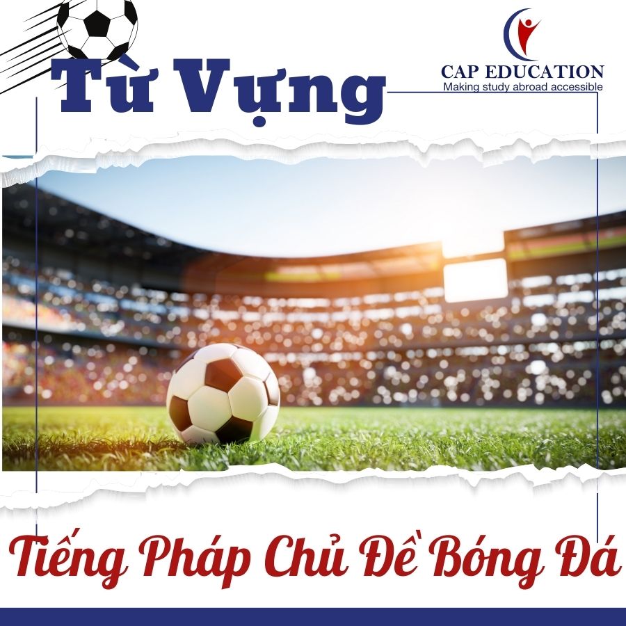 Từ Vựng Tiếng Pháp Chủ Đề Bóng Đá