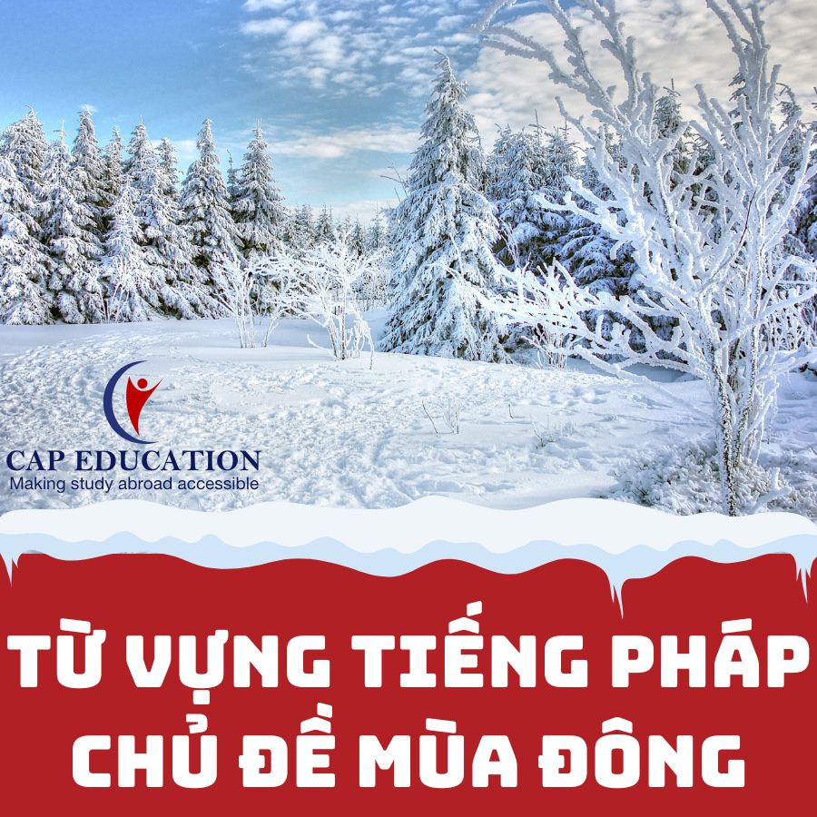 Từ Vựng Tiếng Pháp Chủ Đề Mùa Đông