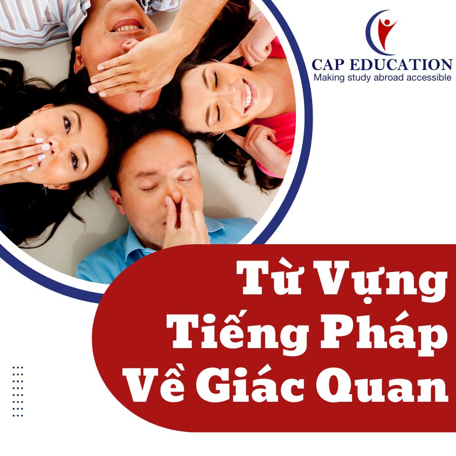 Từ Vựng Tiếng Pháp Về Giác Quan